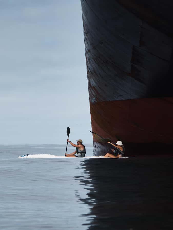 Cape Town: Dolphin & Ocean Wildlife Kayaking Adventure ⚓️ - What the 2 Hours Feels Like, From Launch to Splashdown