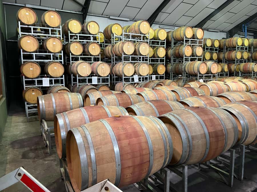 Cape Town: Franschhoek and Wine Tram Tour - Should You Book This Franschhoek and Wine Tram Tour?
