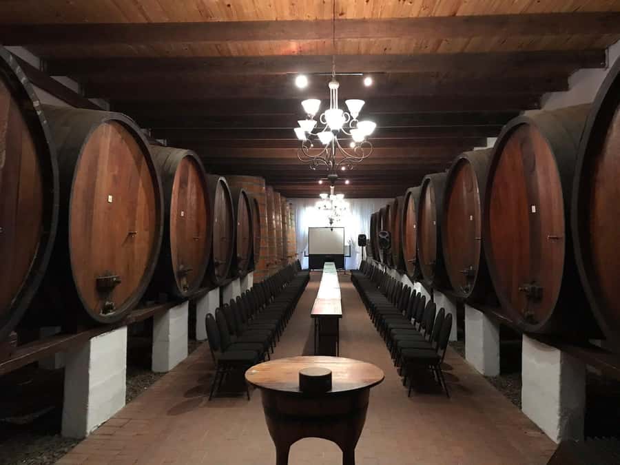 Cape Town: Franschhoek Wine Tram Hop-On Hop-Off Tour - Cape Town to Franschhoek, without the big-day headache