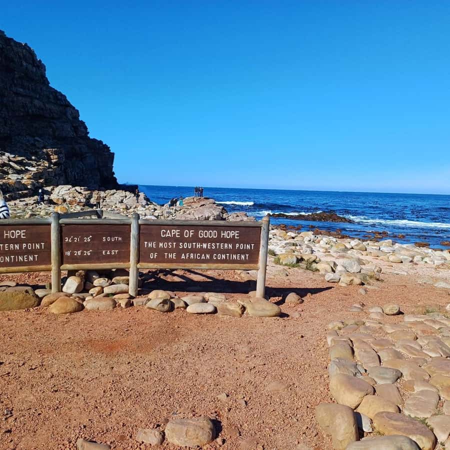 Cape Town: Full Day Cape of Good Hope with Penguins Tour - The Cape Peninsula on one ticket, and why it works
