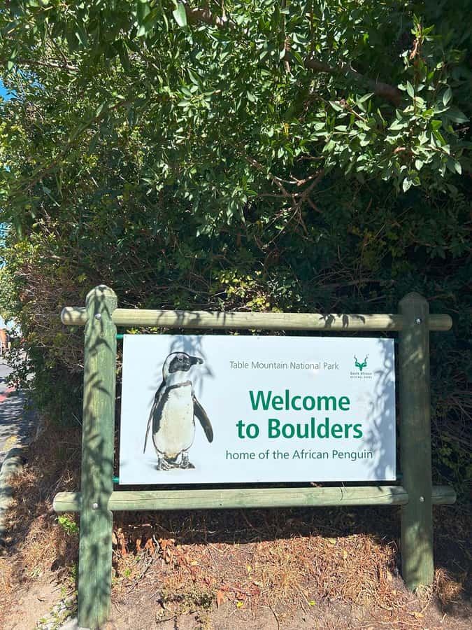 Cape Town: Full Day Cape of Good Hope with Penguins Tour - False Bay drive and the final roll into central Cape Town