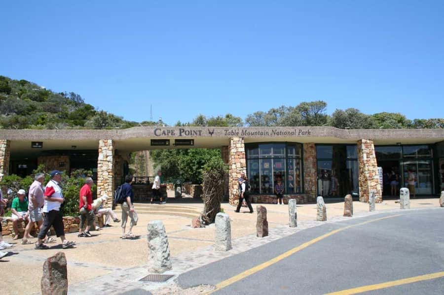 Cape Town: Full-Day Cape Peninsula Tour & Penguin Beach - Boulders Beach Lunch and Penguin Swim Finale