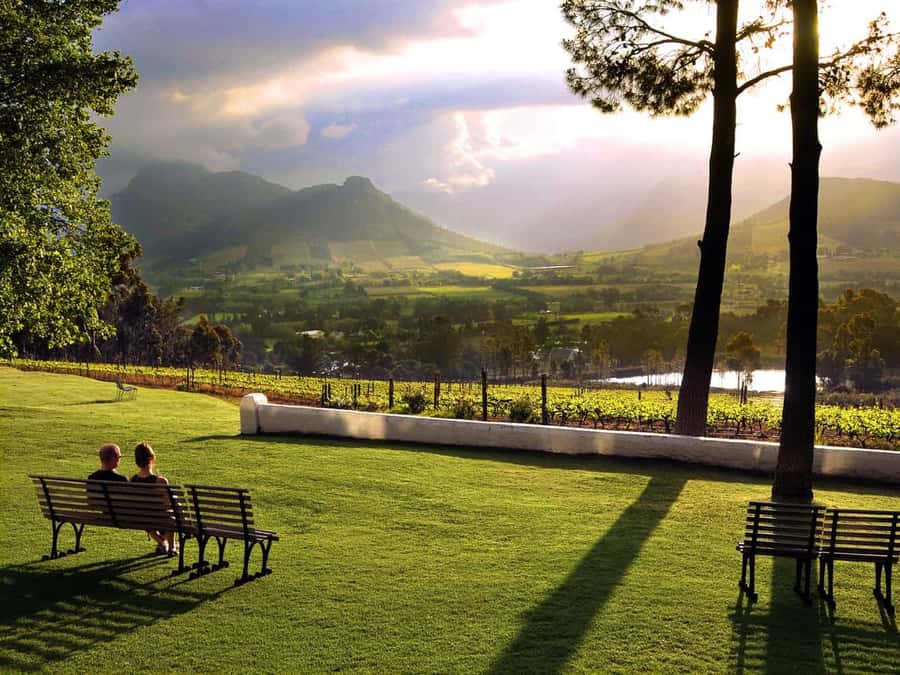 Cape Town: Full-Day Cape Peninsula Tour with Transfers - Key highlights worth booking for