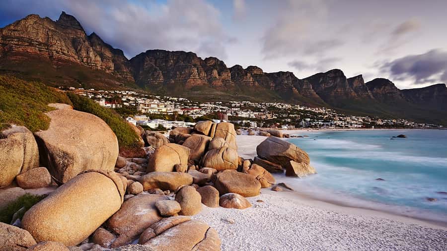 Cape Town: Full-Day Cape Peninsula Tour with Transfers - The value of a guided Cape Peninsula loop (and why it works)
