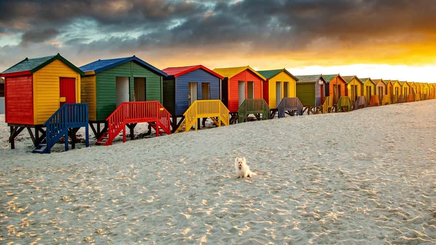 Cape Town: Full-Day Cape Peninsula Tour with Transfers - Pickup and Atlantic Seaboard: start with the coast, not the mountains