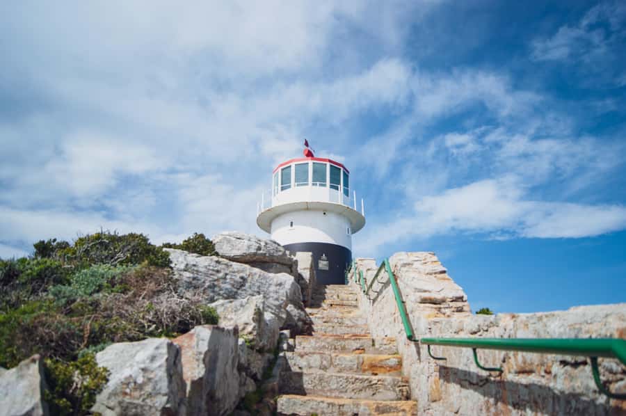 Cape Town: Full-Day Private Peninsula Tour - Chapman’s Peak Drive: The Signature Road Moment