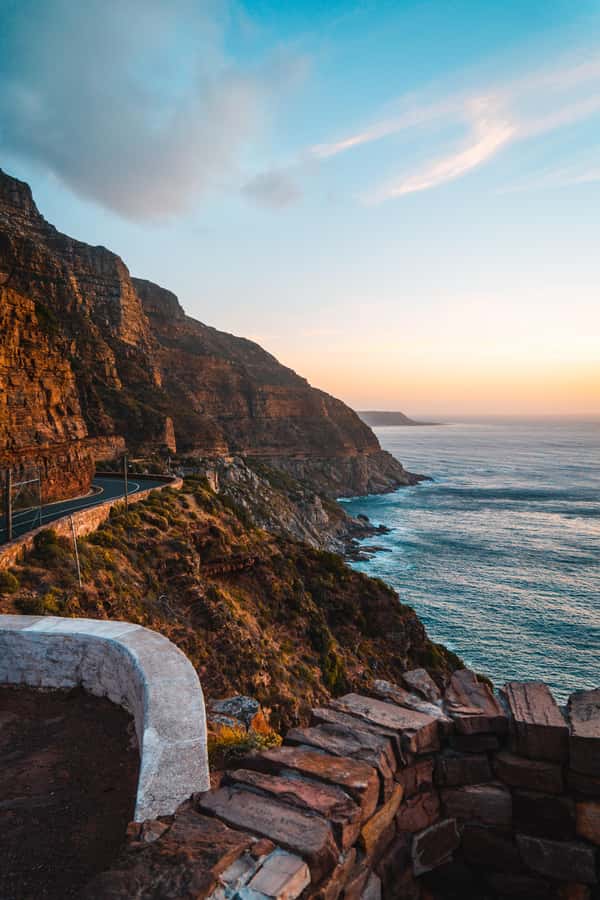Cape Town: Full-Day Private Peninsula Tour - Hout Bay Choices: Seal Island Boat Trip or Harbor Seafood