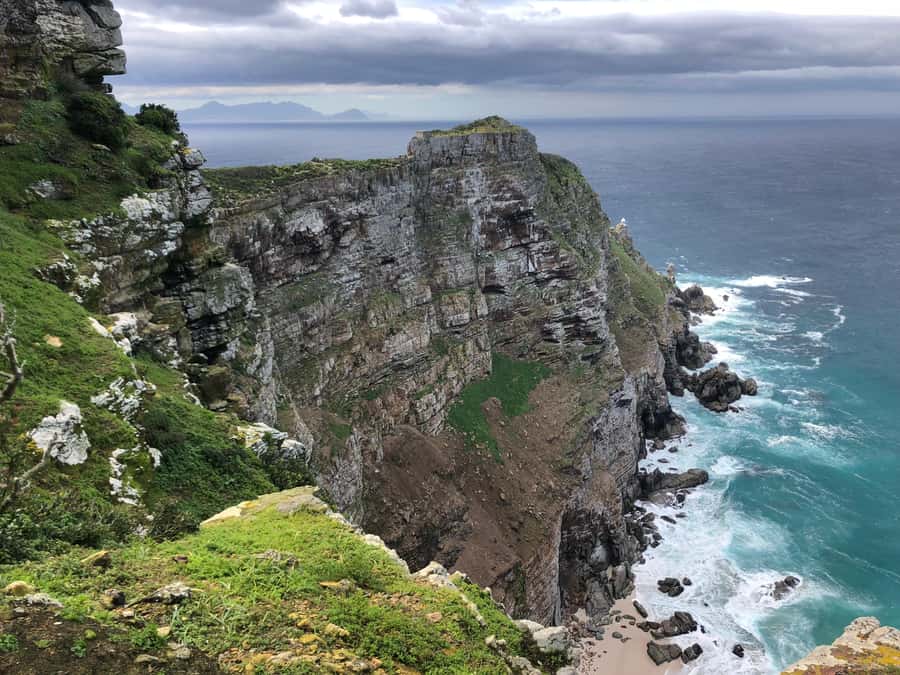 Cape Town: Full-Day Private Tour with Cape Point & Penguins - The Shark Spotters Lookout and the “Bonus” Wildlife Stops