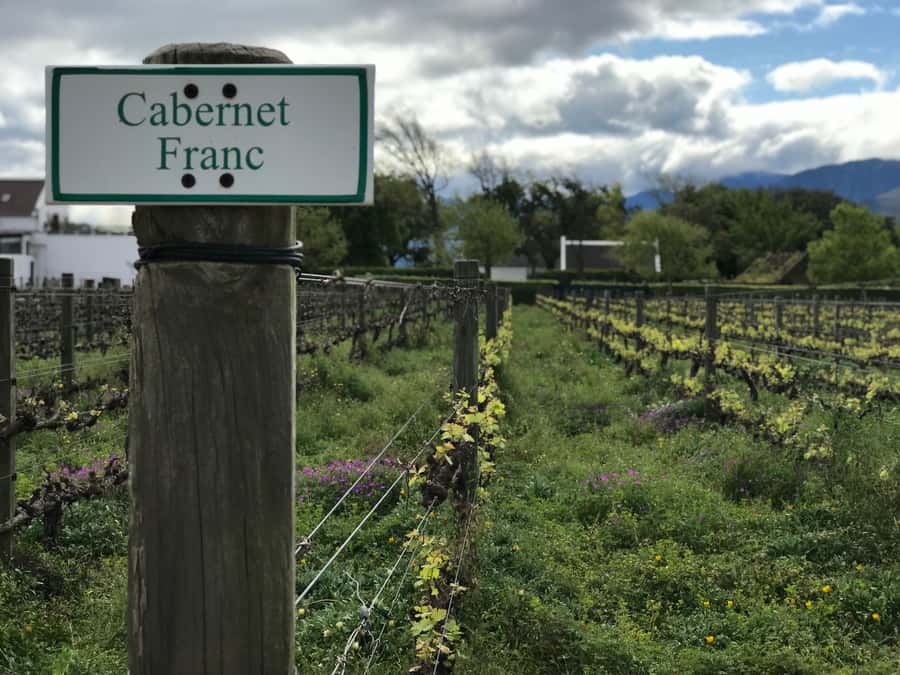Cape Town: Full-Day Stellenbosch and Franschhoek Wine Tour - Why This Stellenbosch and Franschhoek Day Trip Works