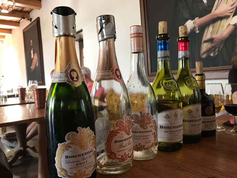 Cape Town: Full-Day Stellenbosch and Franschhoek Wine Tour - Small Group Size and Guide Energy (Rameez in the Real World)