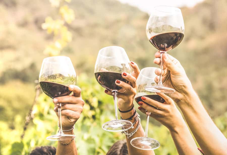 Cape Town: Full-Day Wine Tasting Tour with Wine Tram - Franschhoek lunch break and shop time: the gourmet capital vibe