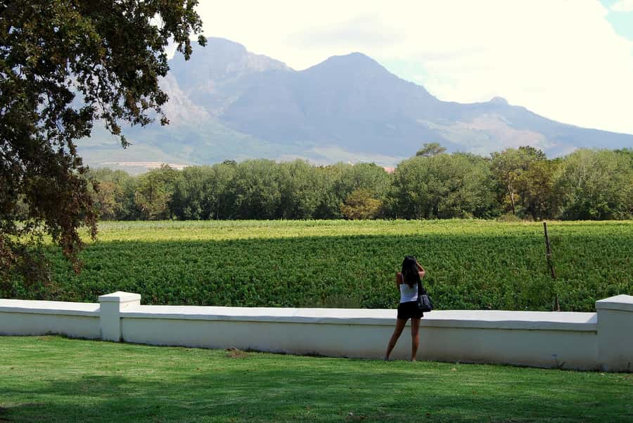 Cape Town: Full-Day Winelands Tour with Wine Tastings & Food - Franschhoek: French Wine Country Energy and Big Mountain Scenery