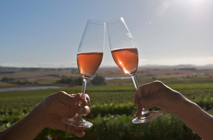 Cape Town: Full-Day Winelands Tour with Wine Tastings & Food - Vineyard Lunch and Pairings: When the Food Actually Matters