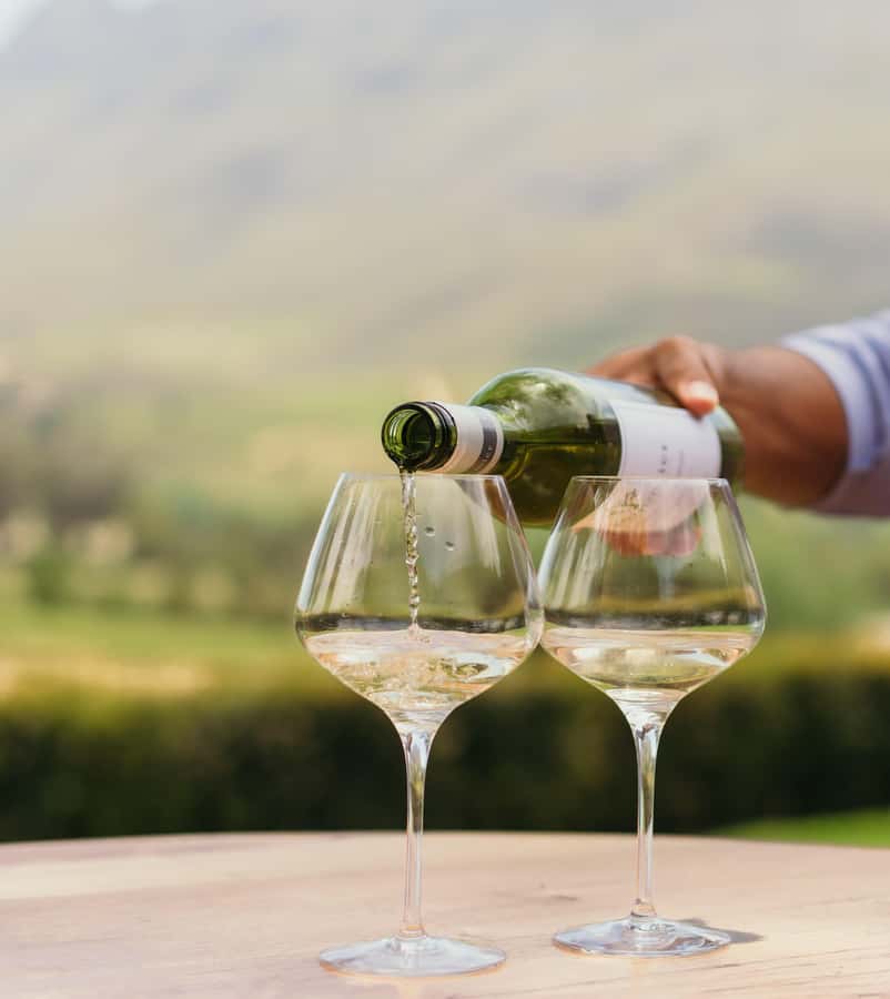 Cape Town: Full-Day Winelands Tour with Wine Tastings & Food - Stellenbosch and Pinotage: Where the Theory Gets Real