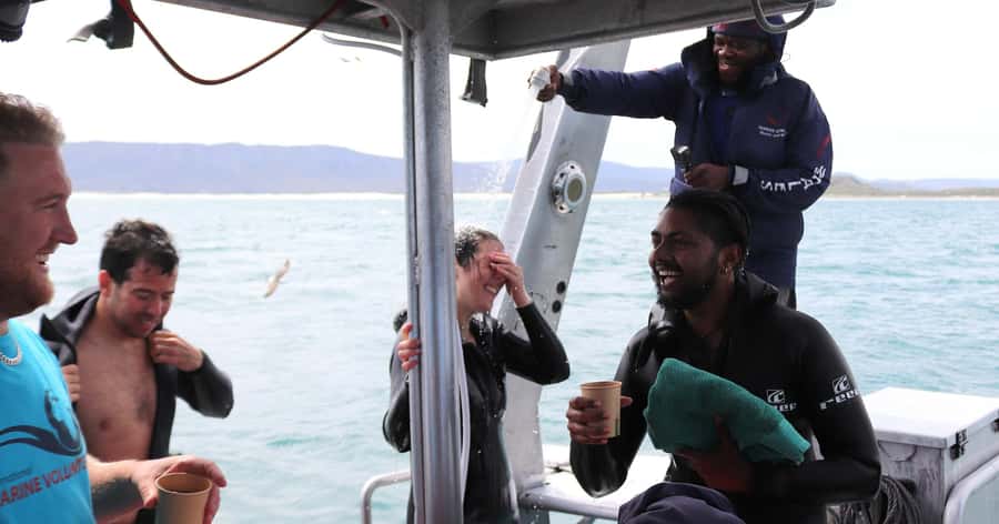 Cape Town: Gansbaai Eco-Friendly Shark Cage Diving Cruise - Joubertsdam and Shark Alley: where sightings happen