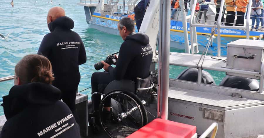 Cape Town: Gansbaai Eco-Friendly Shark Cage Diving Cruise - After the ocean: soup, bread, and APSS penguins up close