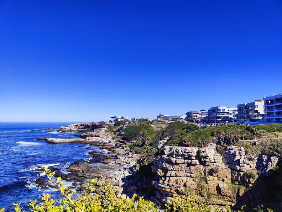 Cape Town: Garden Route and Addo Elephant Park 6-Day Safari - How the pace really feels: active days, small group support, and lots of driving