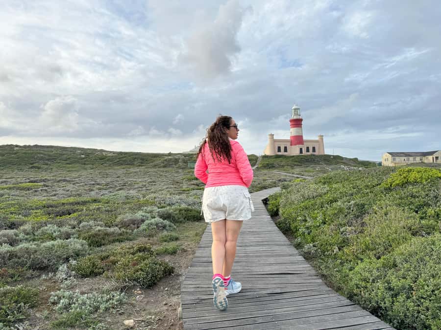 Cape Town: Garden Route and Addo Elephant Park 6-Day Safari - Price and value at $852: where your money actually goes