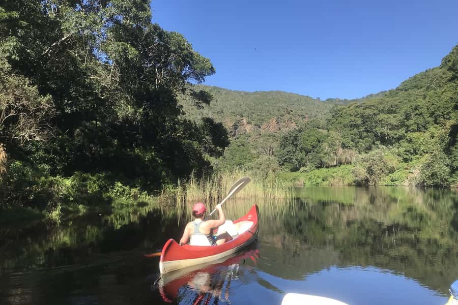 Cape Town: Garden Route and Addo Elephant Park 6-Day Safari - Route 62 wine and Oudtshoorn ostrich farm in the Little Karoo