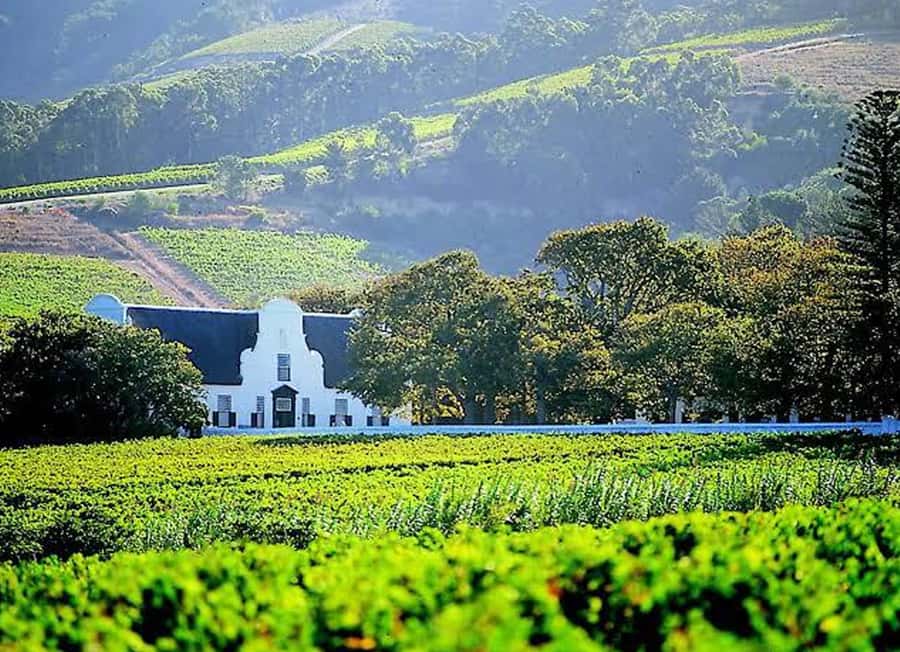 Cape Town: Giraffe House, Cheetah Encounter and Wine Tasting - Key things I think matter most