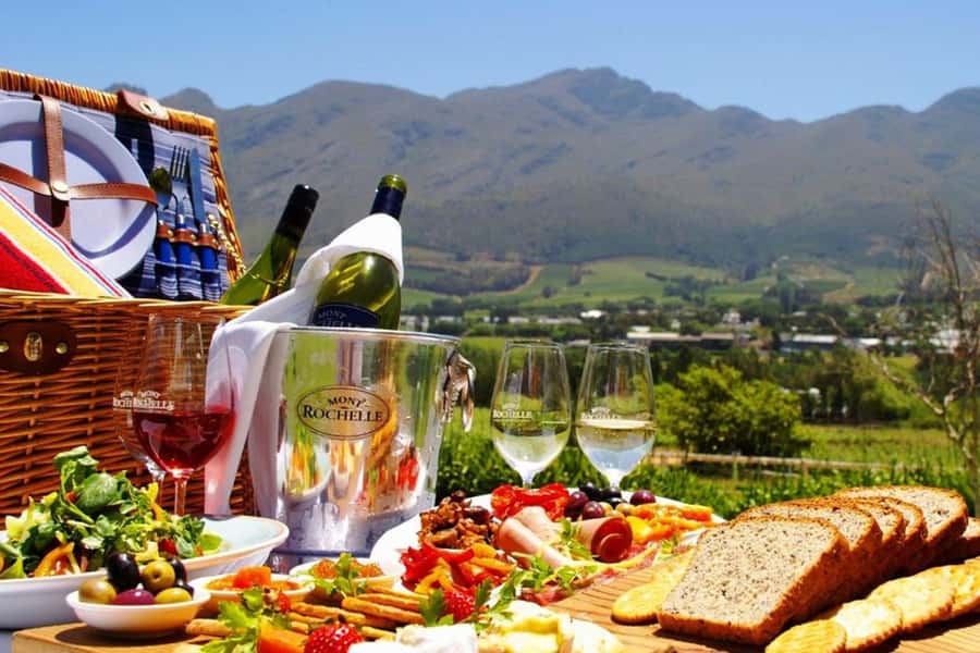 Cape Town: Giraffe House, Cheetah Encounter and Wine Tasting - How the 8-hour Cape Town day actually runs