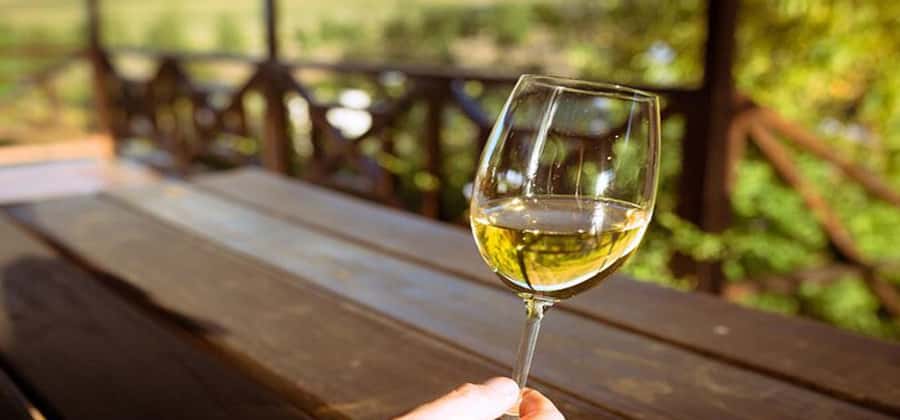 Cape Town: Giraffe House, Cheetah Encounter and Wine Tasting - Giraffe House in Paarl: feeding, a guided talk, and the giraffe massage