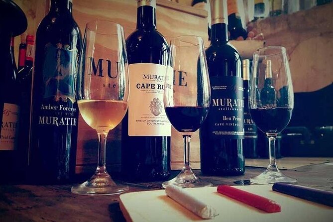 Cape Town Giraffe House, Cheetah Encounter and Wine Tasting Tour - The Cape Winelands drive: what the scenery is really for