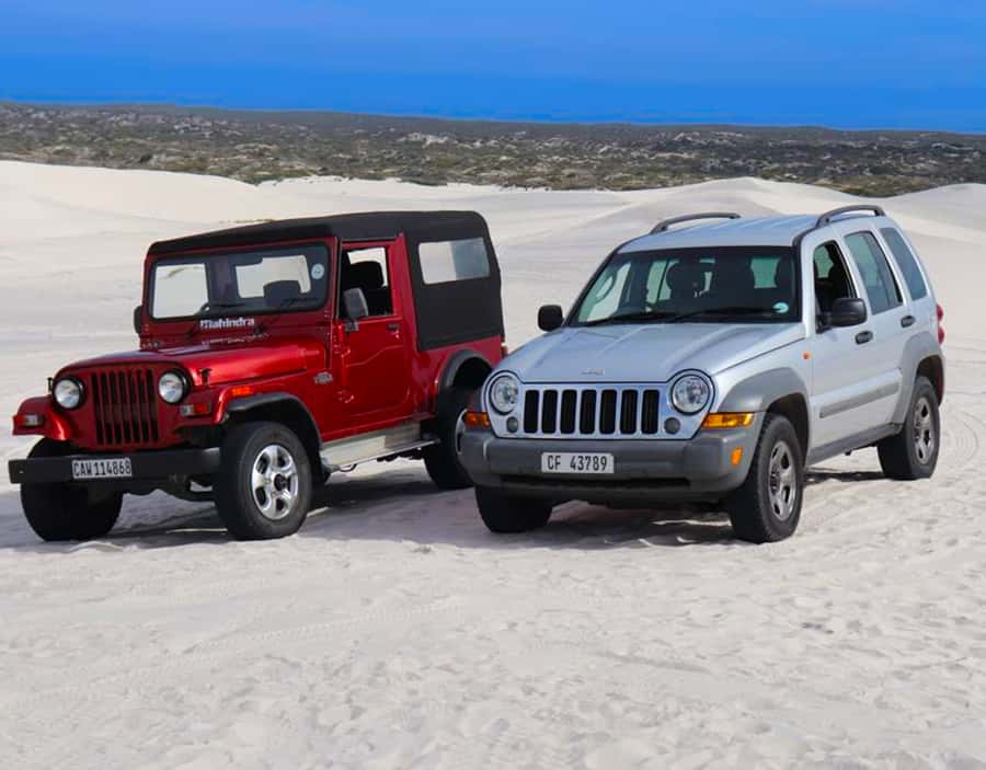 CAPE TOWN: GLAM SANDBOARDING IN ATLANTIS DUNES WITH WILDX - Key highlights you’ll actually care about