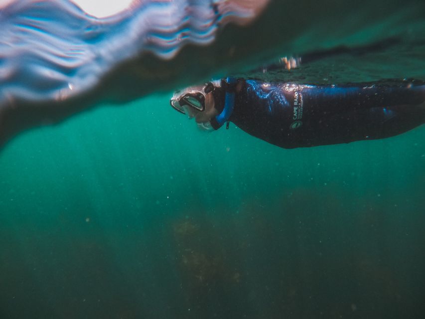 Cape Town: Great African Sea Forest Guided Snorkel - Gear, comfort, and the small details that affect your day