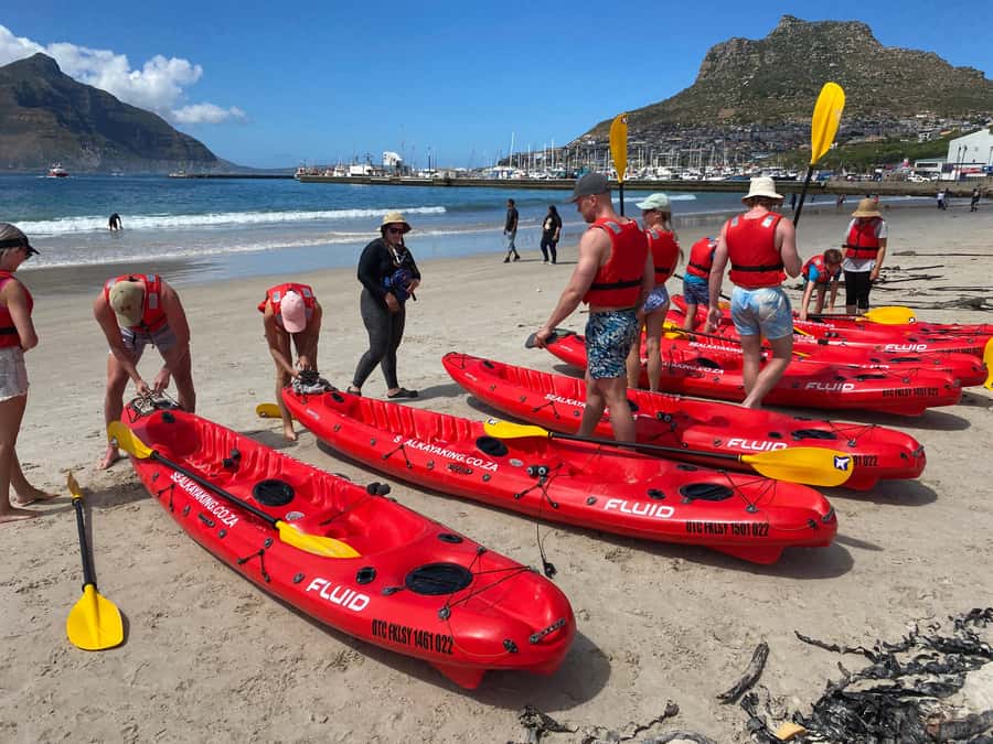Cape Town: Guided Kayak Tour - Hout Bay from the water, with the Green Room as your main character