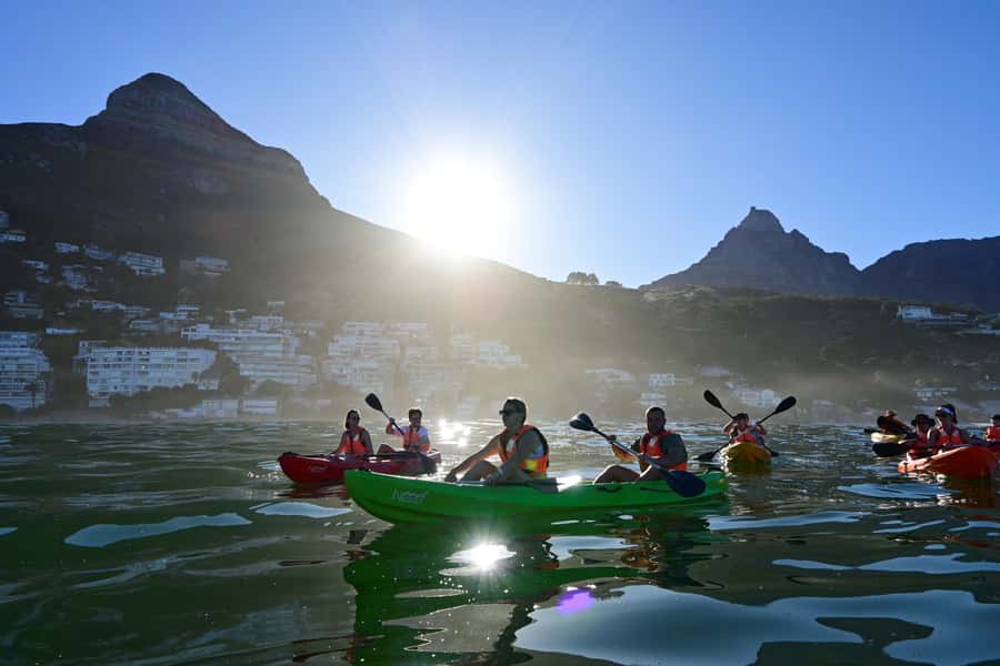 Cape Town: Guided Kayak Tour of Clifton Beaches & The Coast - Key highlights to look for