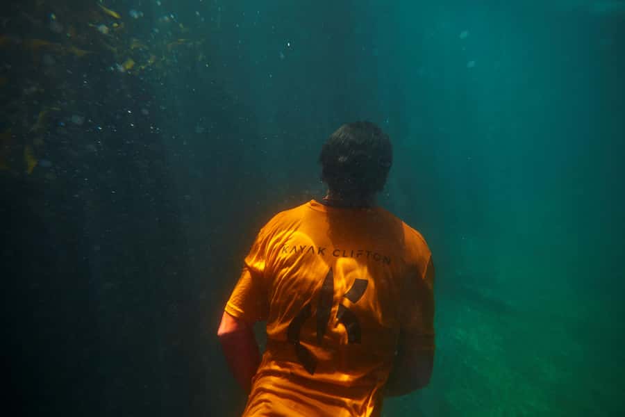 Cape Town: Guided Kayak Tour of Clifton Beaches & The Coast - Using the underwater viewing mask, and what affects visibility