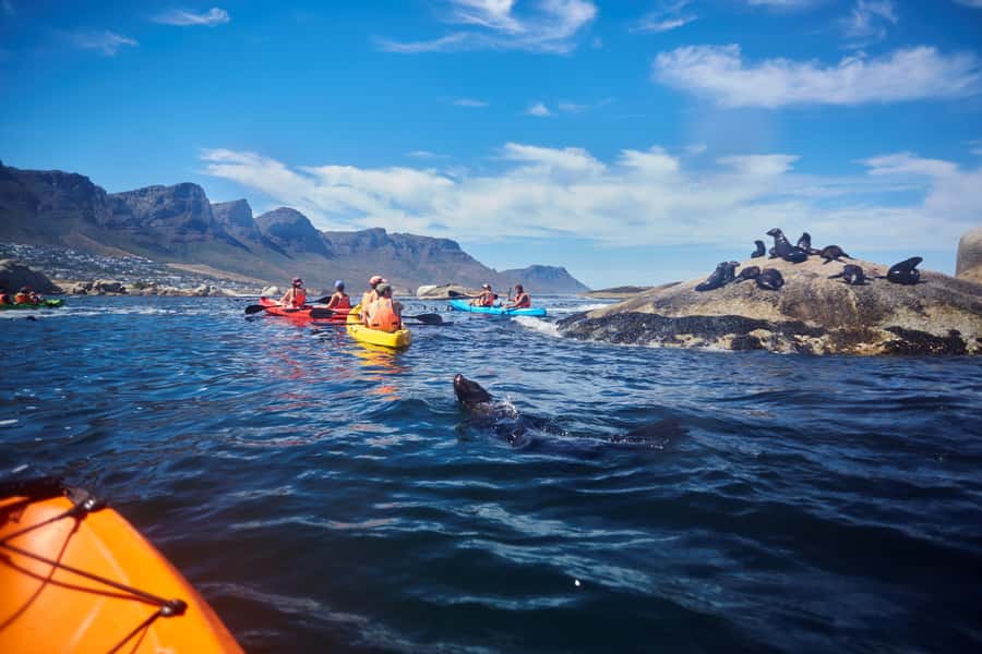 Cape Town: Guided Kayak Tour of Clifton Beaches & The Coast - Free paddling time back at Clifton 4th Beach