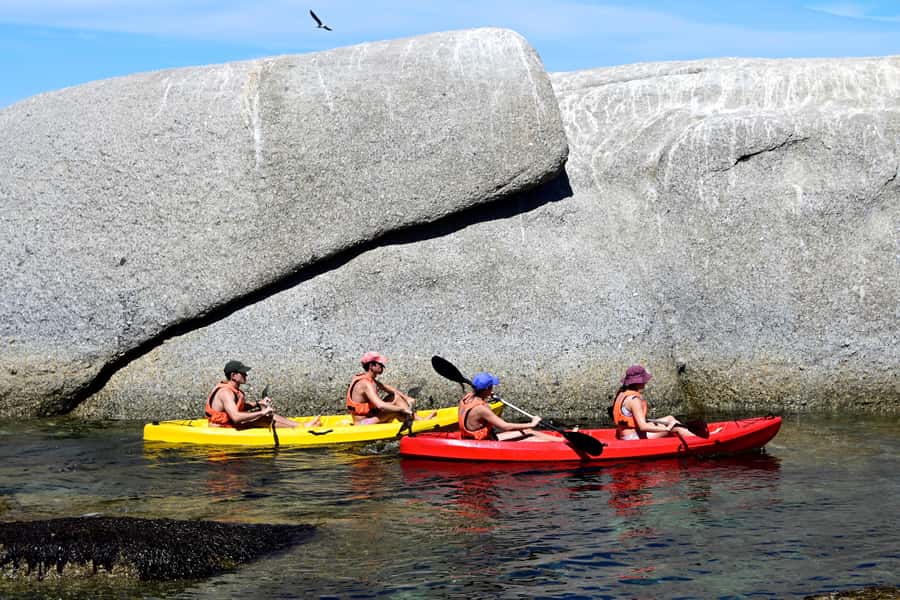 Cape Town: Guided Kayak Tour of Clifton Beaches & The Coast - Price and value: why $49 makes sense here