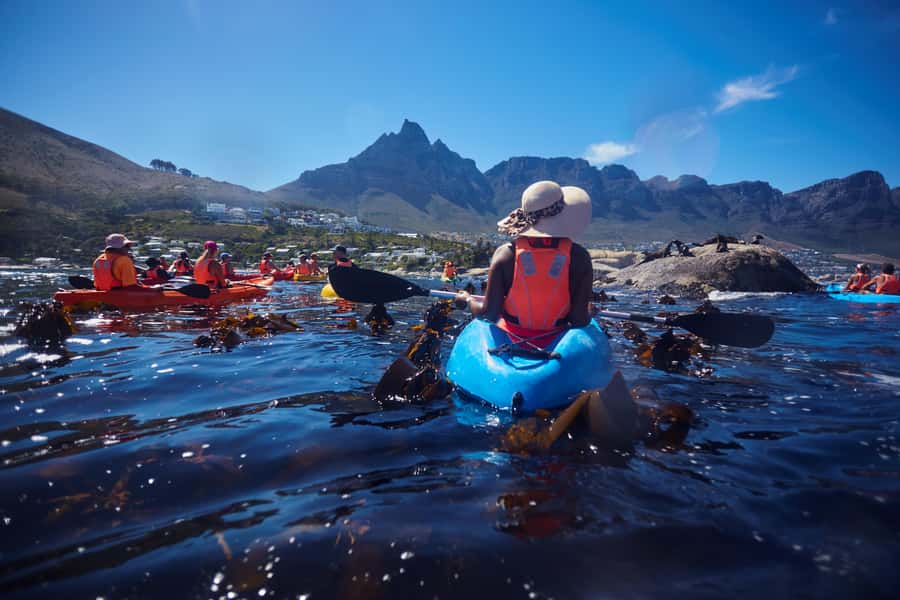 Cape Town: Guided Kayak Tour of Clifton Beaches & The Coast - What to bring for a smooth, comfortable day