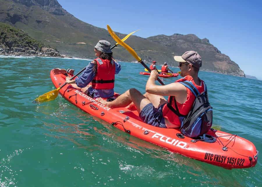 Cape Town: Guided Kayak Tour - Meeting point and getting started without stress