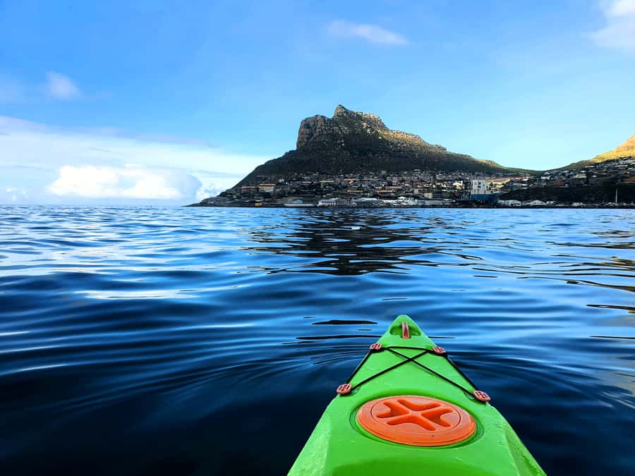 Cape Town: Guided Kayaking in Hout Bay - Key Highlights Worth Your Time