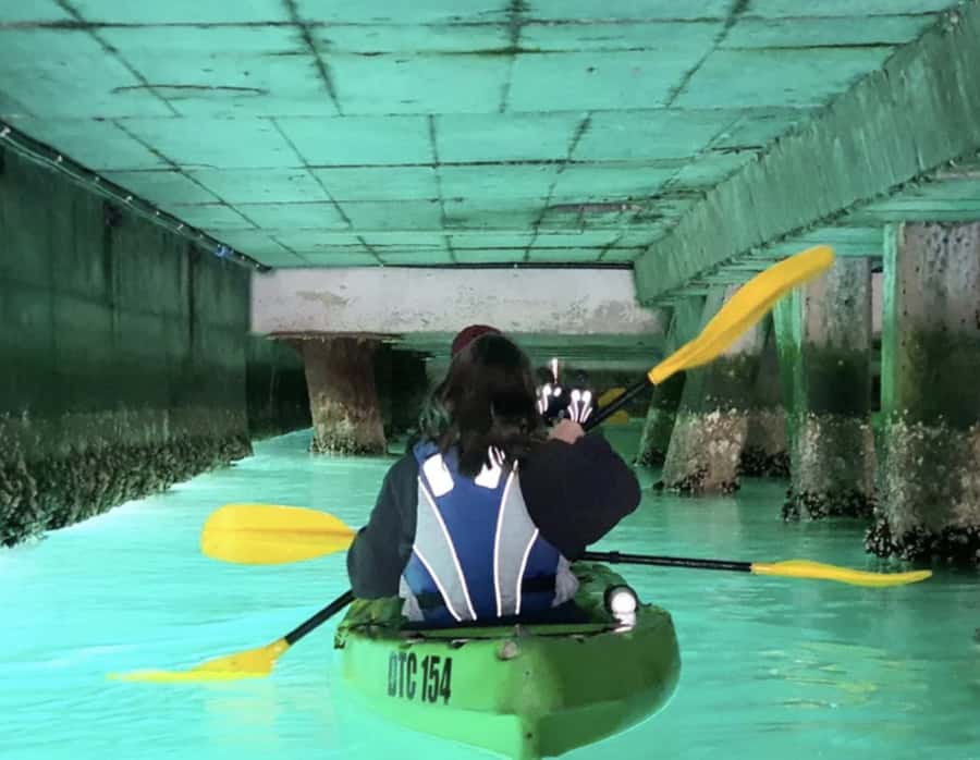 Cape Town: Guided Kayaking in Hout Bay - The Views From the Shore: Why Kayak Rowing Beats Just Looking