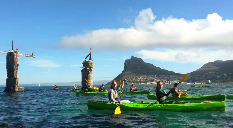 Cape Town: Guided Kayaking in Hout Bay - Weather and Timing: How to Improve Your Odds