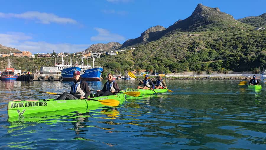 Cape Town: Guided Kayaking in Hout Bay - Price and Value: Getting More Than a View for $37