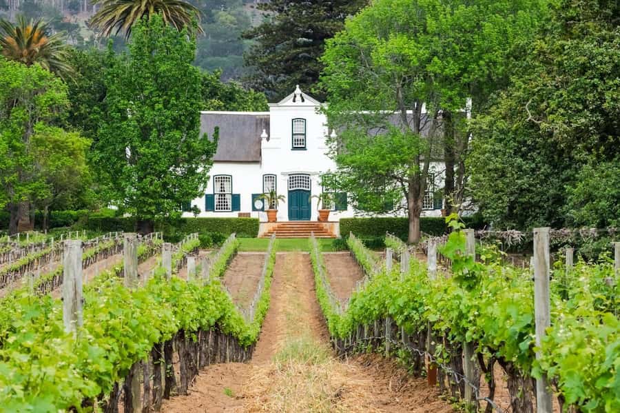 Cape Town: Guided Winelands Tour & Tasting in Stellenbosch - Key highlights that make this tour worth your time