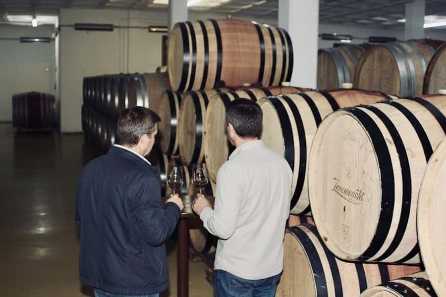 Cape Town: Guided Winelands Tour & Tasting in Stellenbosch - Second tasting in Stellenbosch: wine plus biltong pairing