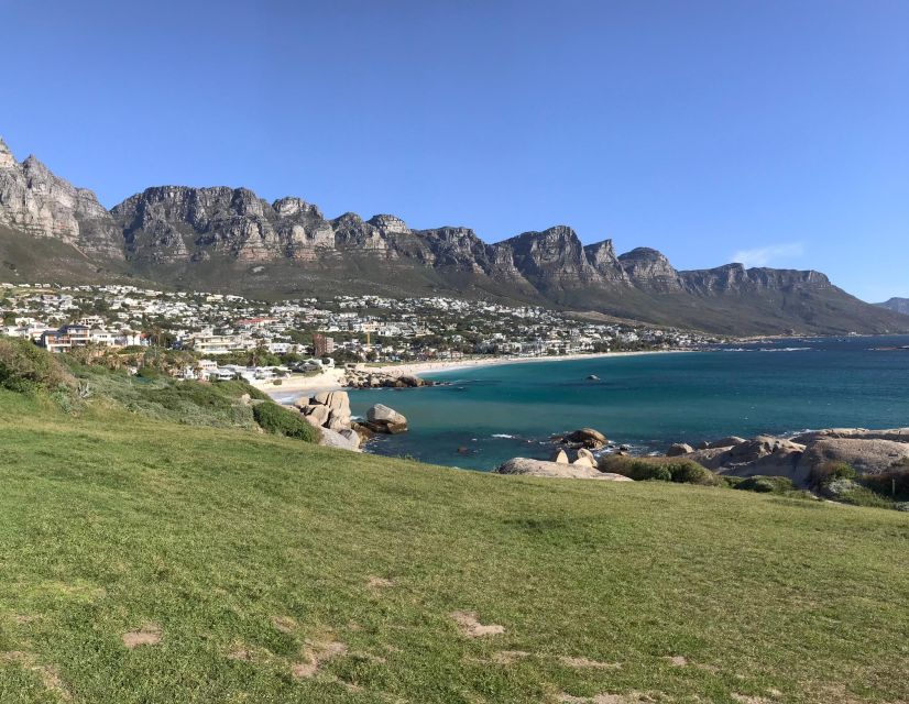 Cape Town: Half-Day Boulders Beach & Penguin Encounter Tour - Time Breakdown: How the Day Feels in Real Life