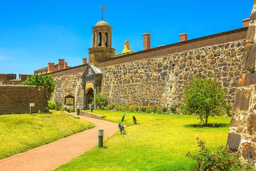 Cape Town: Half-Day Guided City Sightseeing Tour by Bus - Why this half-day Cape Town tour makes sense for a short stay