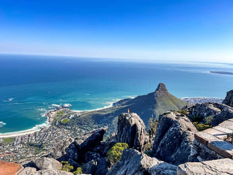Cape Town: Half Day Table Mountain and Cape Town City Tour - How the Half-Day Format Really Feels in Cape Town