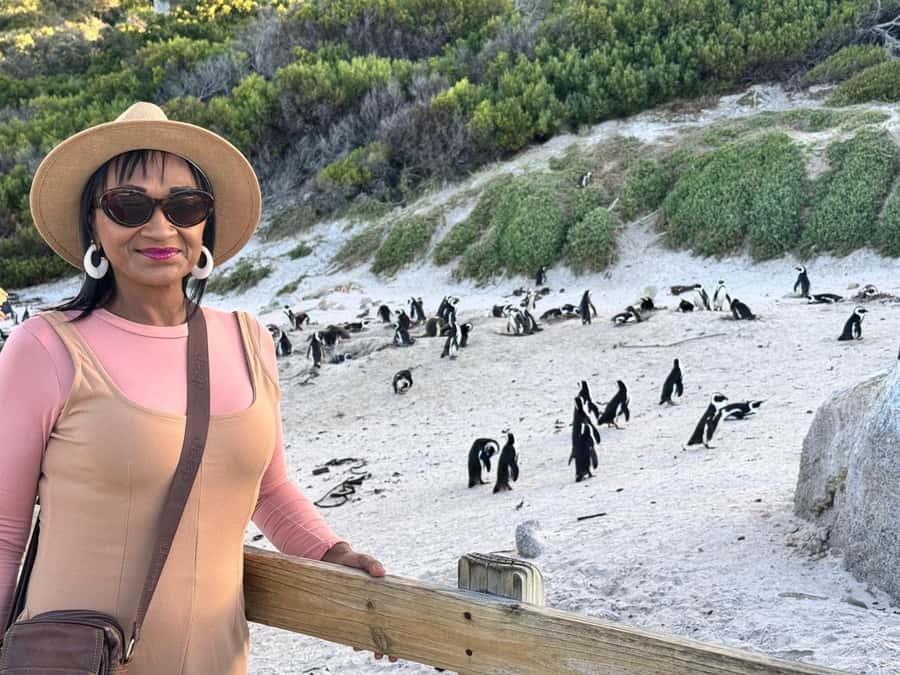 Cape Town: Half-Day Table Mountain and Penguin Group Tour - Key highlights worth planning for
