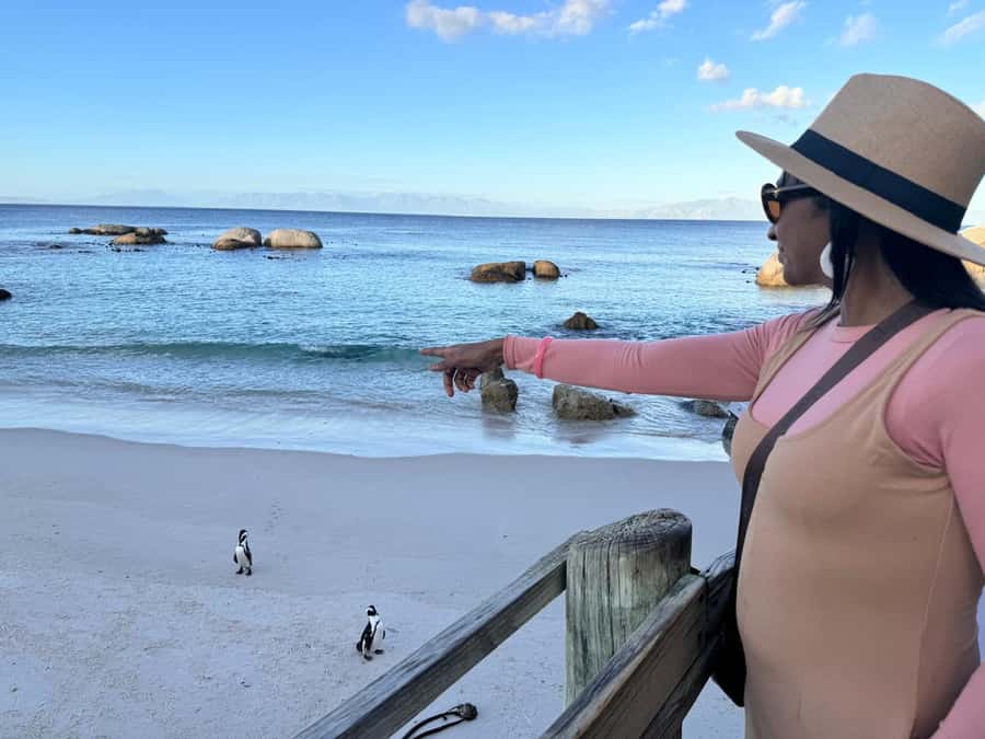 Cape Town: Half-Day Table Mountain and Penguin Group Tour - Table Mountain Cable Car: big views, clear photo guidance, and real weather reality