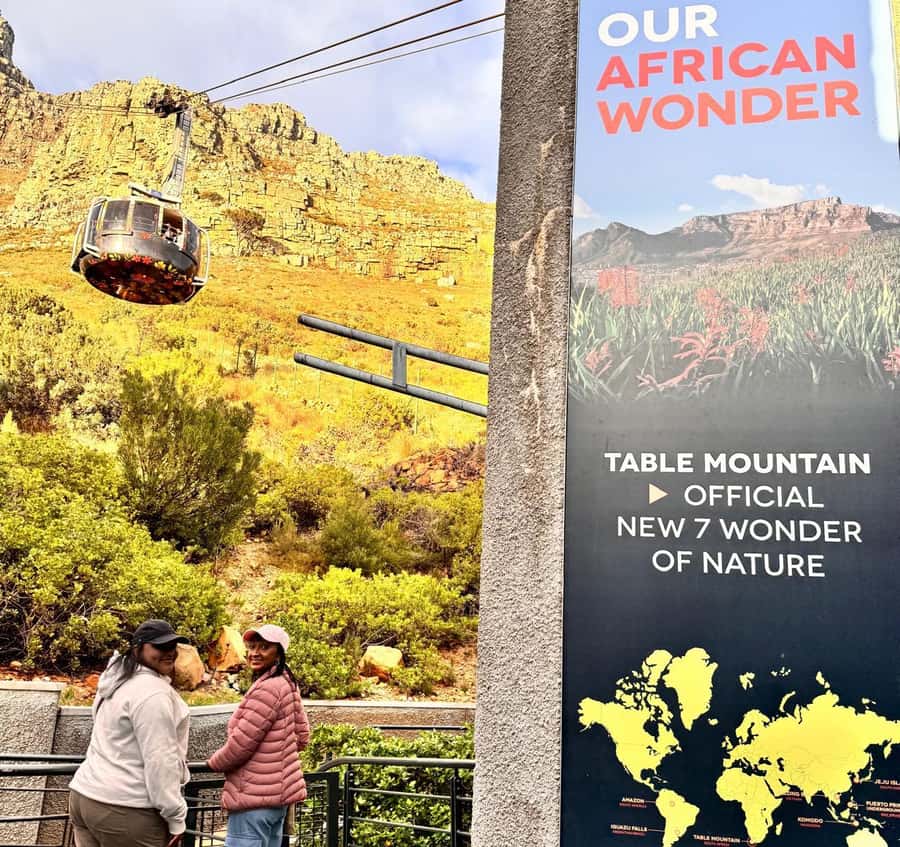 Cape Town: Half-Day Table Mountain and Penguin Group Tour - Comfort rules that make or break the day