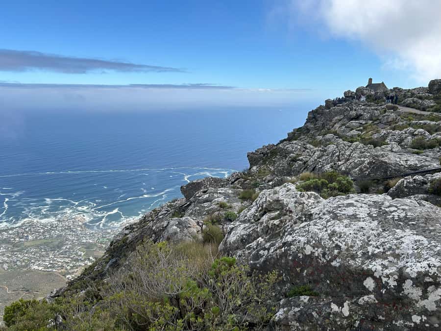 Cape Town: Half Day Table Mountain & Kirstenbosch Gardens - Table Mountain and Kirstenbosch in one tight 4-hour window