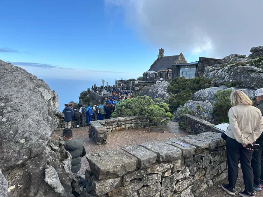 Cape Town: Half Day Table Mountain & Kirstenbosch Gardens - Table Mountain summit: cable car first, fynbos walk second